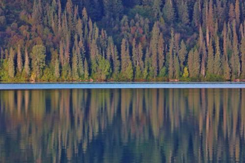 Autumn tree reflections on Meziadin Lake, BC