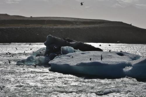 Jokulsarlon iceberg lake